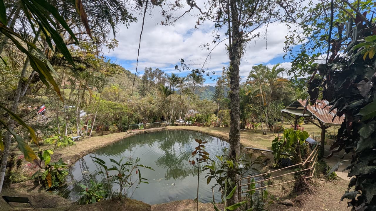Estanques de pesca